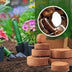 Organic Coconut Coir for Plants Pack of 10